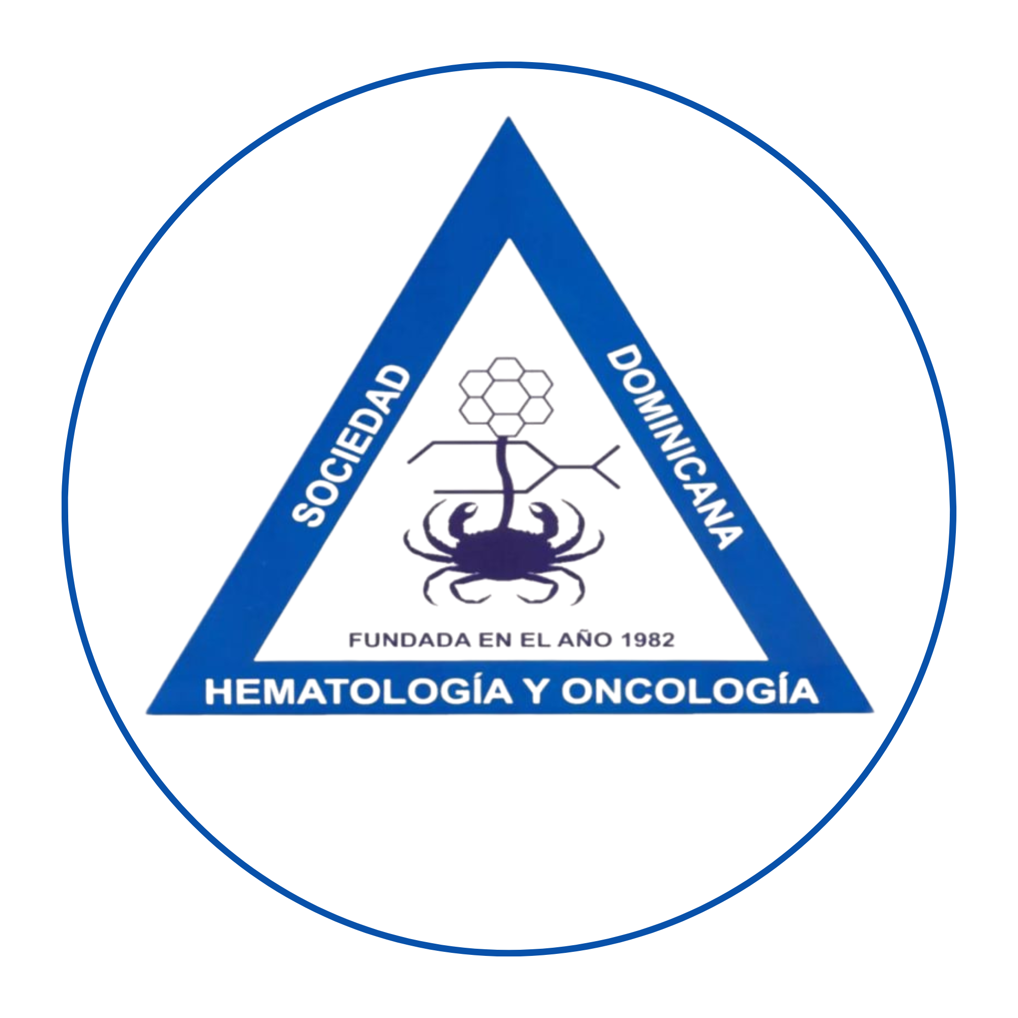 Design sem nome (17)